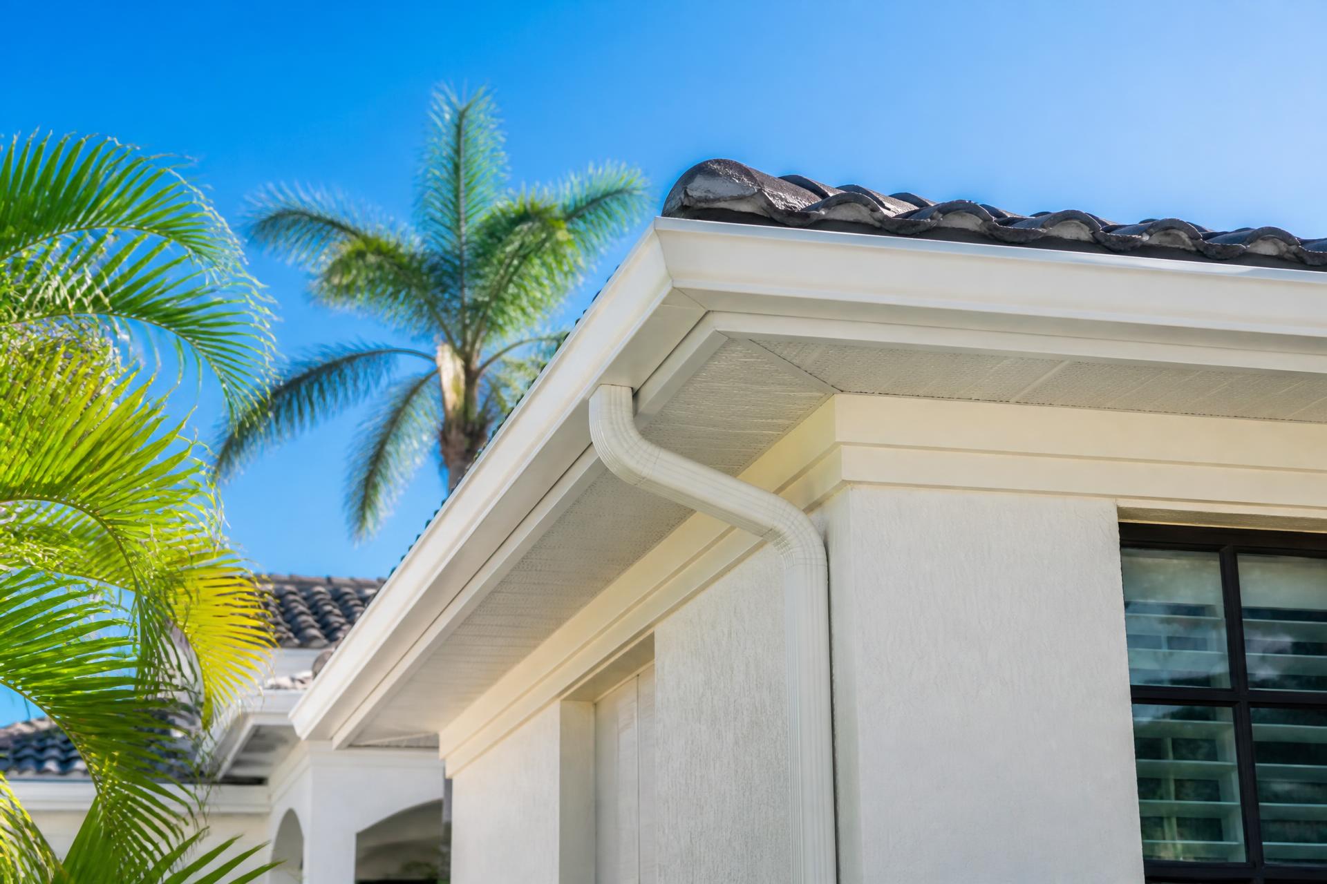 Clean white seamless gutters along the roofline of a bright Florida home with palm trees